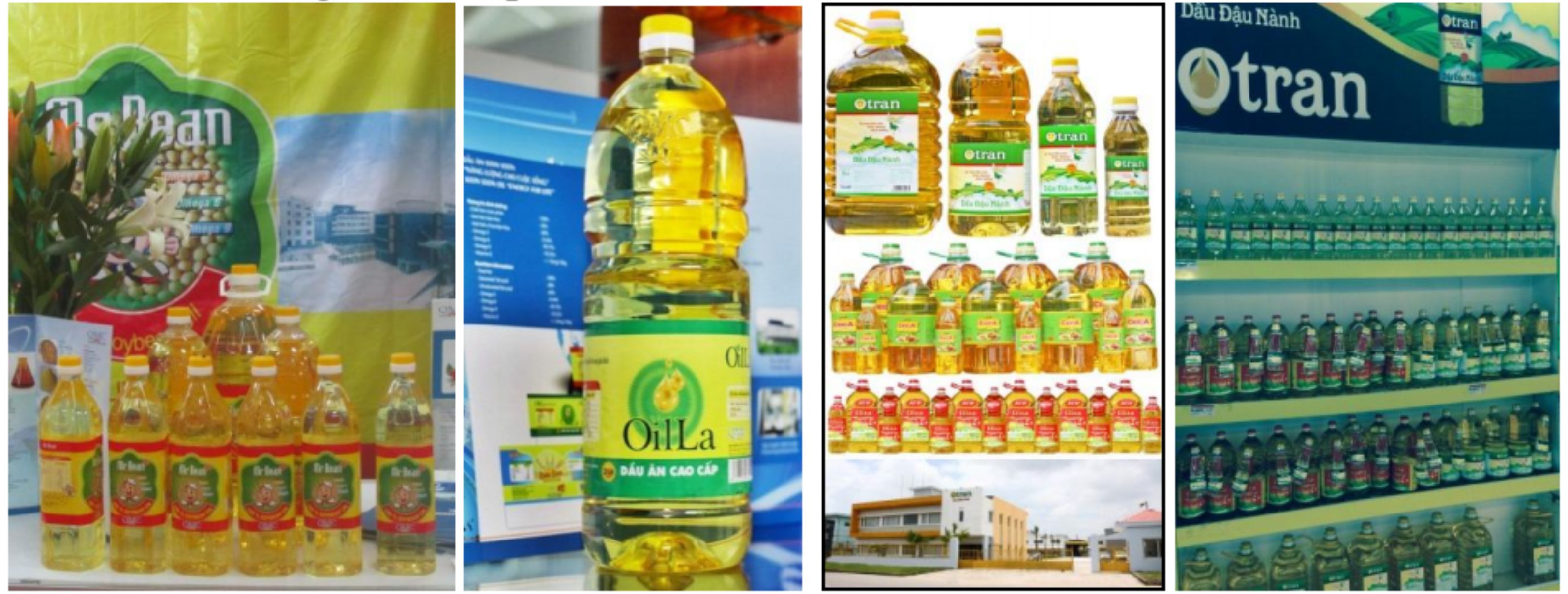 Production and consumption of vegetable oils in Vietnam to 2025